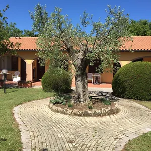 Il Girasole Venturina Terme